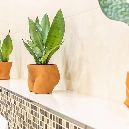 Urban Plant Haven *